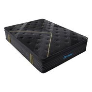 Detailed information about the product Spring Mattress Bamboo Euro Top Queen