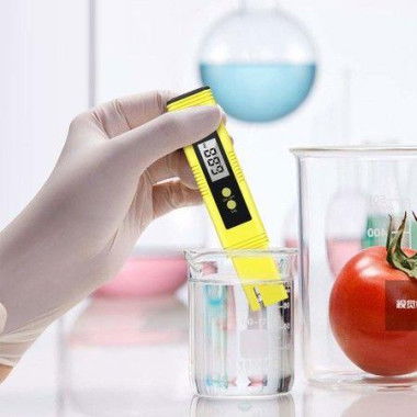 TDS & PH Meter Digital Water Tester