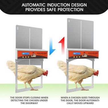 Timer/Light Sensor Automatic Chicken Coop Opener Safe Closer To Prevent Predators (Fox Raccoon).