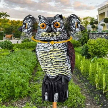 Upgraded 360Â° Motion-Activated Owl Decoy to Repel Frighten Birds and Squirrels for Garden Yard