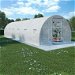 VidaXL Greenhouse 27 Cubic Metre 900x300x200 Cm. Available at Crazy Sales for $409.95