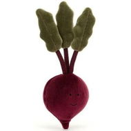 Detailed information about the product Vivacious Vegetable Beetroot 20cm