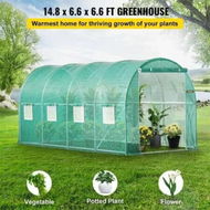 Detailed information about the product Walk-in Tunnel Greenhouse Galvanized Frame & Waterproof Cover 15x7x7 ft