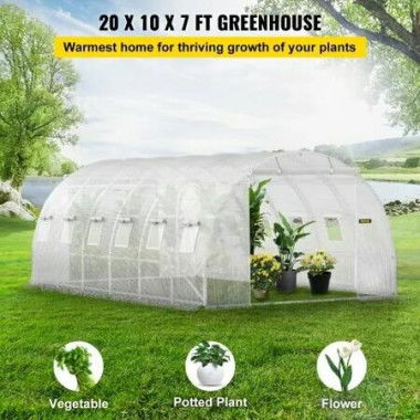 Walk-in Tunnel Greenhouse Galvanized Frame Waterproof Cover 20x10x7 ft