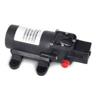 Detailed information about the product Water Pump 12V Pressure Shower 4.3L/Min