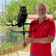 Detailed information about the product Weather Vane Owl Stainless Steel Weathervane Black Spray Paint Weathercock For Outdoor Sheds