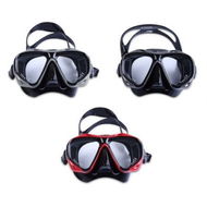 Detailed information about the product WHALE Professional Scuba Diving Swimming Mask Goggle