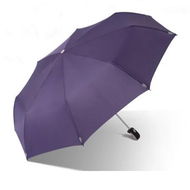 Detailed information about the product Windproof Travel Umbrella, Automatic Umbrellas for Rain, Compact Umbrella (Purple)