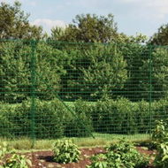 Detailed information about the product Wire Mesh Fence with Spike Anchors Green 1.4x25 m