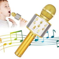 Detailed information about the product Wireless Bluetooth Kids Karaoke Microphone, 5 in 1 Portable Handheld Microphone with Adjustable Remix FM Radio for Boys Girls Birthday (Golden)