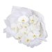 Classic White Orchid Flowers. Available at Interflora for $249.00