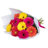 Detailed information about the product Colourful Gerberas Flowers