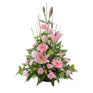 Detailed information about the product Pink Sympathy