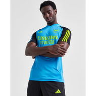 Detailed information about the product adidas Arsenal Fc Training Shirt