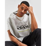 Detailed information about the product adidas Badge Of Sport Fade T-shirt