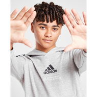 Detailed information about the product Adidas Badge Of Sport Fleece Hoodie Junior