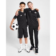 Detailed information about the product Adidas Celtic FC 2023/24 Away Shirt Junior.