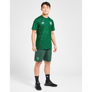 Detailed information about the product Adidas Celtic FC Training Shorts