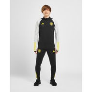 Detailed information about the product Adidas Celtic FC Training Track Pants