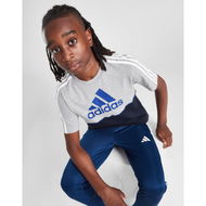 Detailed information about the product Adidas Linear Badge Of Sport Colour Block T-Shirt Junior