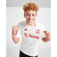 Detailed information about the product Adidas Manchester United FC Training Shirt Junior