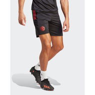 Detailed information about the product Adidas Manchester United FC Training Shorts