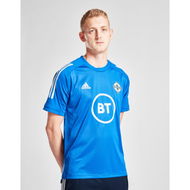 Detailed information about the product Adidas Northern Ireland Condivo 20 Training Shirt