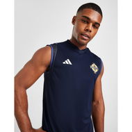 Detailed information about the product Adidas Northern Ireland Tiro 23 Sleeveless Shirt