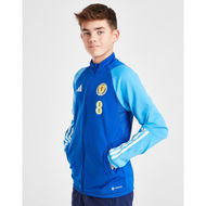 Detailed information about the product Adidas Scotland Tiro 23 Training Track Jacket Junior