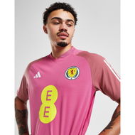 Detailed information about the product Adidas Scotland Women Tiro 23 Training Shirt