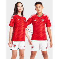 Detailed information about the product Adidas Wales 2022 Home Shirt Junior