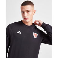 Detailed information about the product Adidas Wales Tiro 23 Crew Sweatshirt