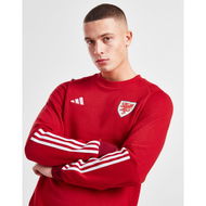 Detailed information about the product Adidas Wales Tiro 23 Crew Sweatshirt
