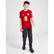 Detailed information about the product Adidas Wales Tiro 23 Presentation Track Pants Junior