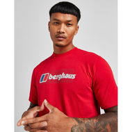 Detailed information about the product Berghaus Grid Logo T-shirt