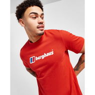 Detailed information about the product Berghaus Large Logo T-shirt
