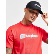 Detailed information about the product Berghaus Recognition Trucker Cap