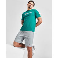 Detailed information about the product Berghaus Theran Shorts