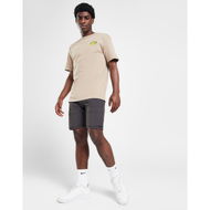 Detailed information about the product Brave Soul North Shorts