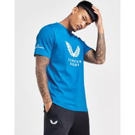 Detailed information about the product Castore Leinster Rugby Logo T-Shirt