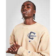 Detailed information about the product Champion Collegiate Sweatshirt