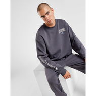 Detailed information about the product Champion Collegiate Sweatshirt