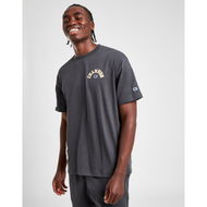 Detailed information about the product Champion Collegiate T-Shirt