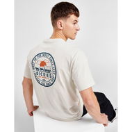 Detailed information about the product Dickies Greensburg T-Shirt