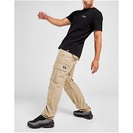 Detailed information about the product Dickies Millerville Cargo Pants
