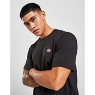 Detailed information about the product Dickies Small Logo T-Shirt