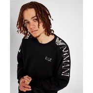 Detailed information about the product EA7 Panel Sweatshirt