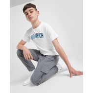 Detailed information about the product Hoodrich Area Woven Cargo Track Pants Junior