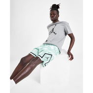 Detailed information about the product Jordan Diamond Shorts