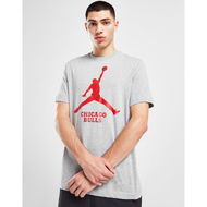 Detailed information about the product Jordan NBA Chicago Bulls Essential T-Shirt